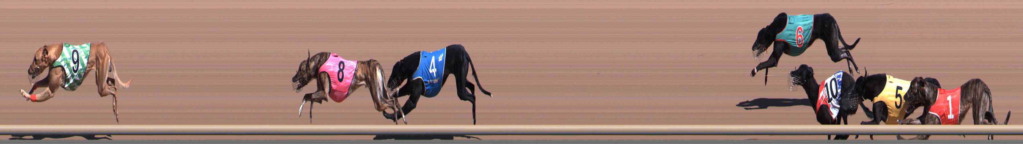 Photo finish for Healesville Race 4