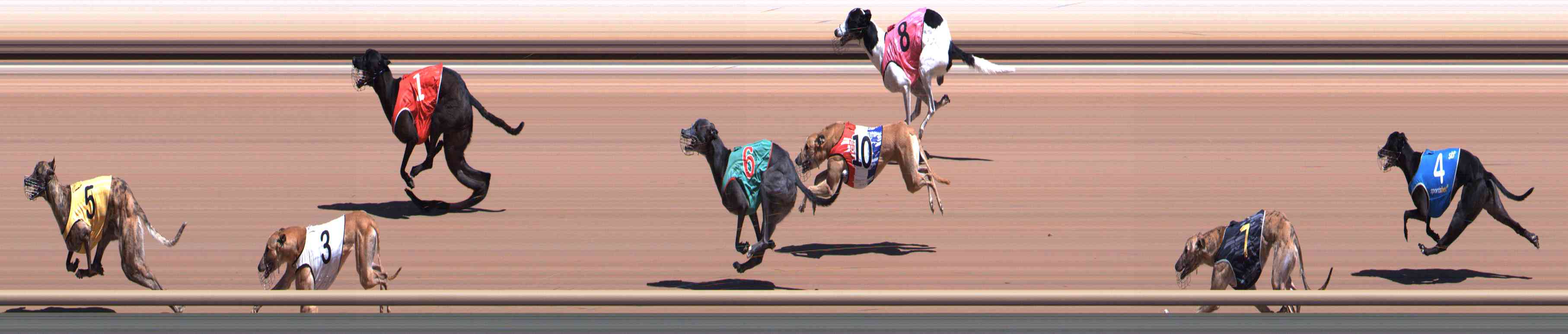 Photo finish for Healesville Race 6