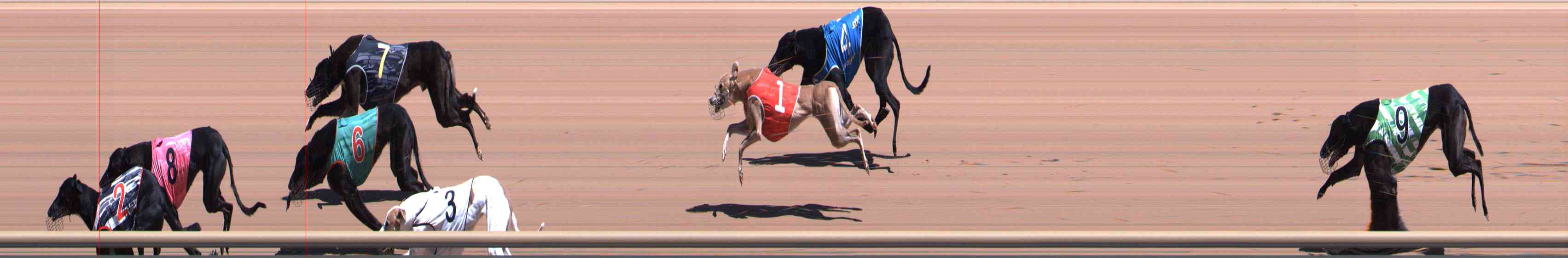 Photo finish for Healesville Race 7