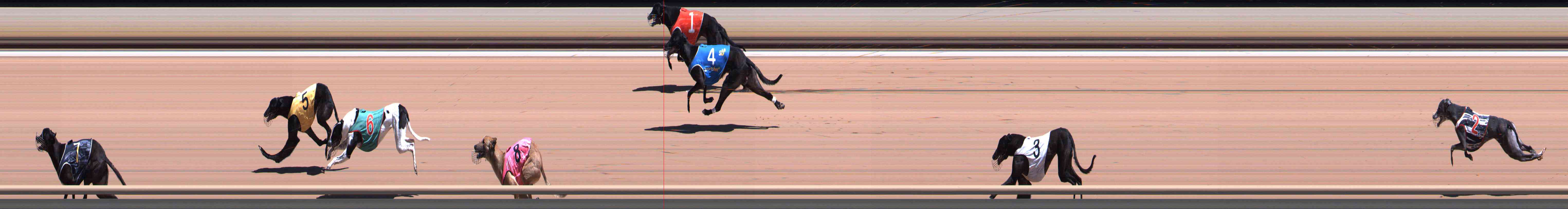 Photo finish for Healesville Race 8