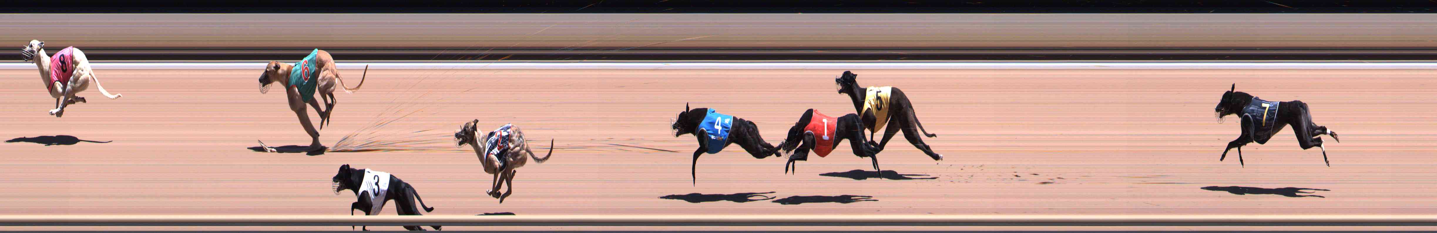 Photo finish for Healesville Race 9
