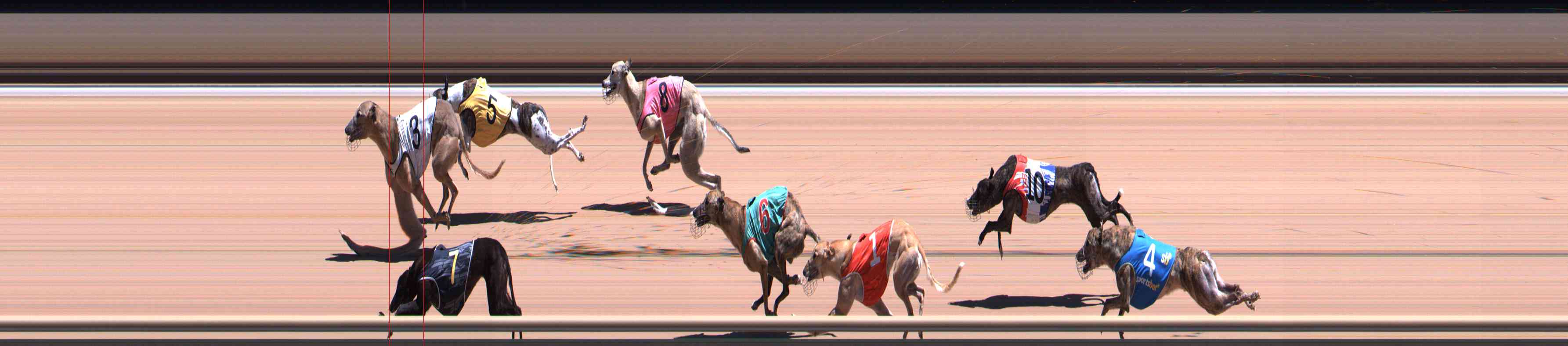 Photo finish for Healesville Race 10
