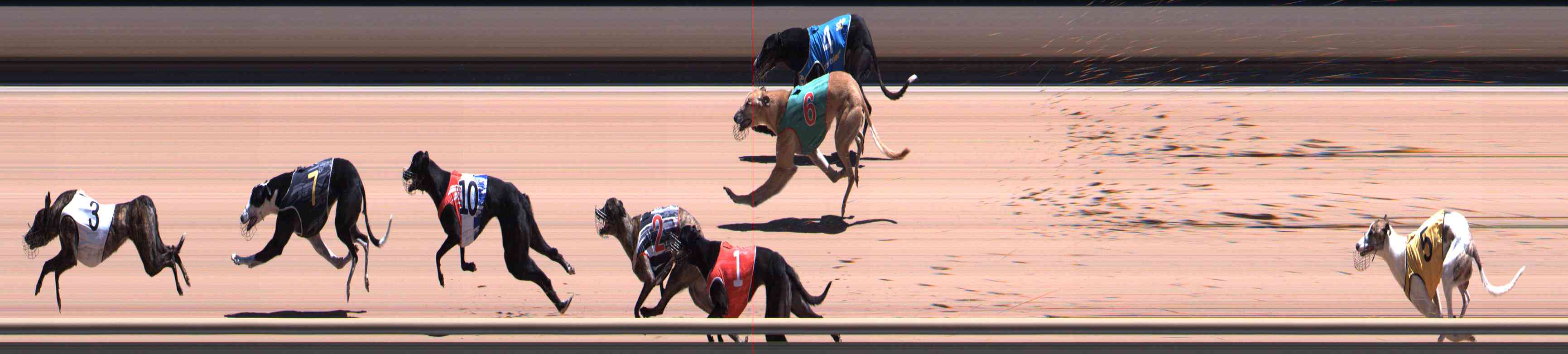 Photo finish for Healesville Race 11