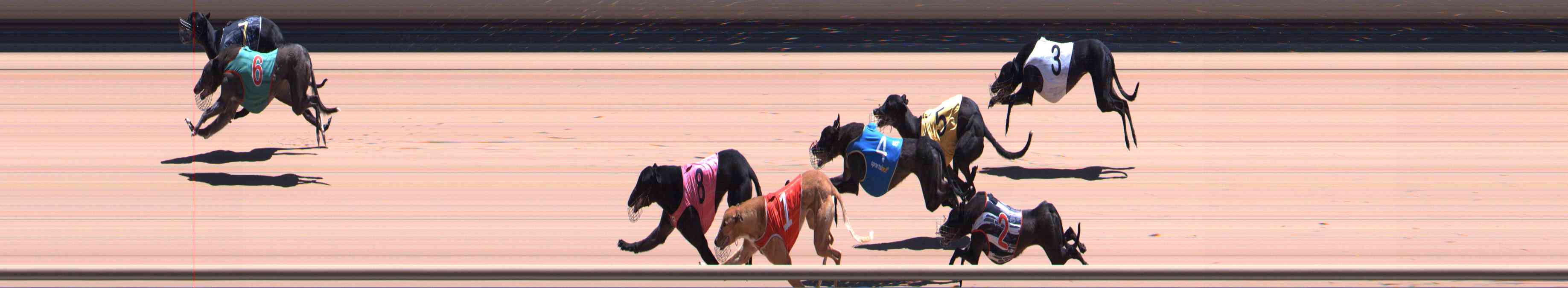 Photo finish for Healesville Race 12
