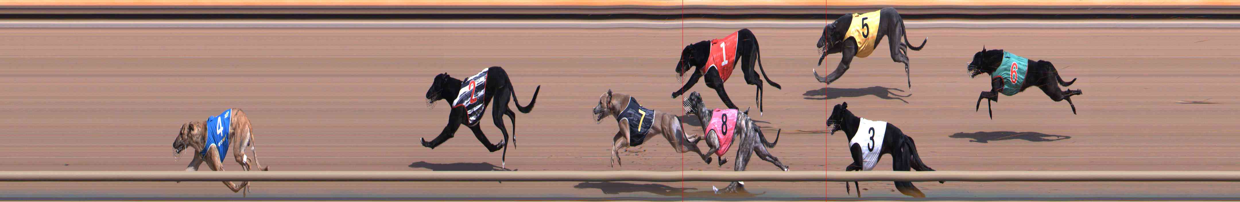 Photo finish for Healesville Race 2