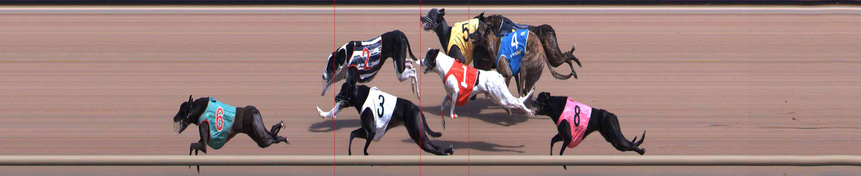 Photo finish for Healesville Race 3