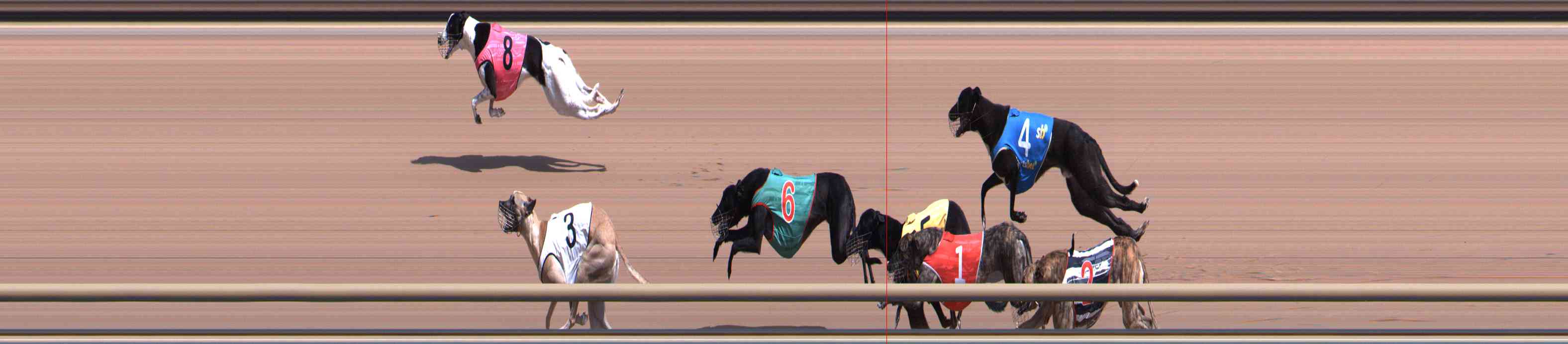 Photo finish for Healesville Race 4