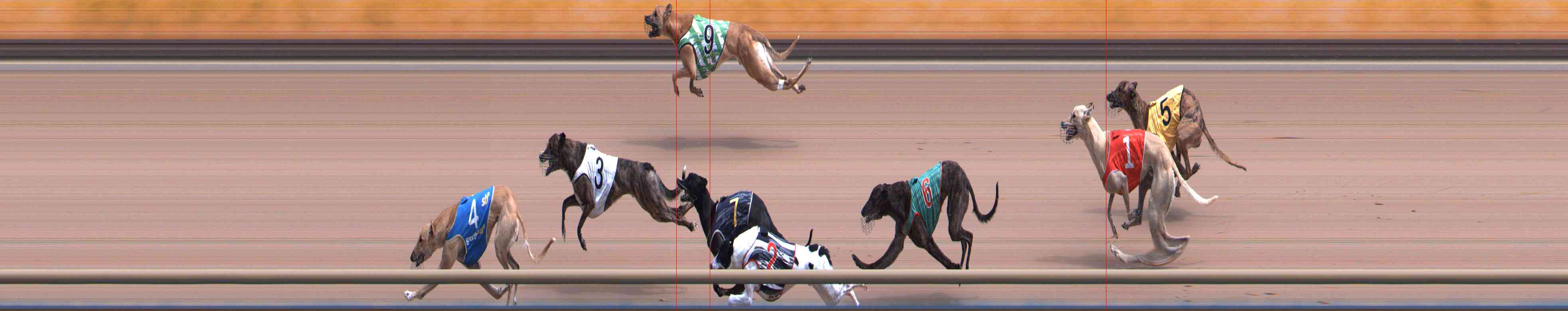 Photo finish for Healesville Race 6