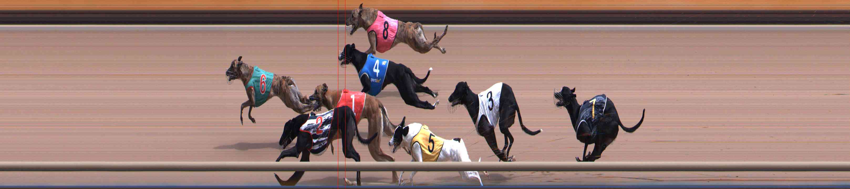 Photo finish for Healesville Race 7