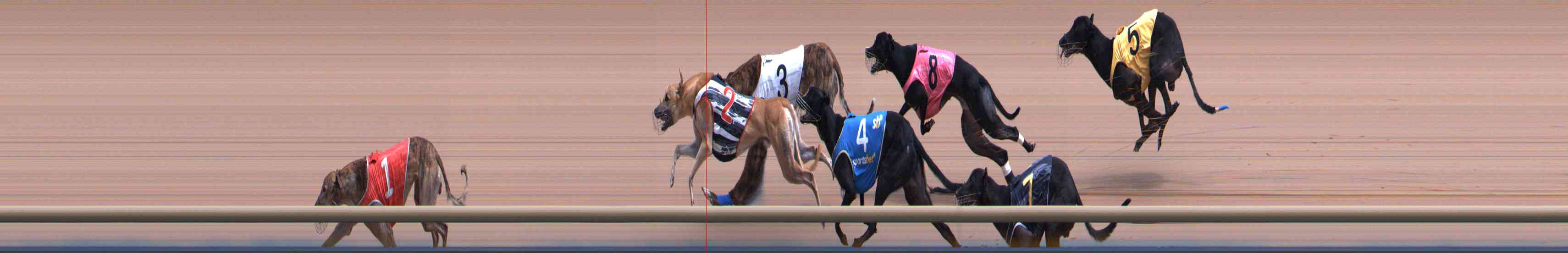Photo finish for Healesville Race 8