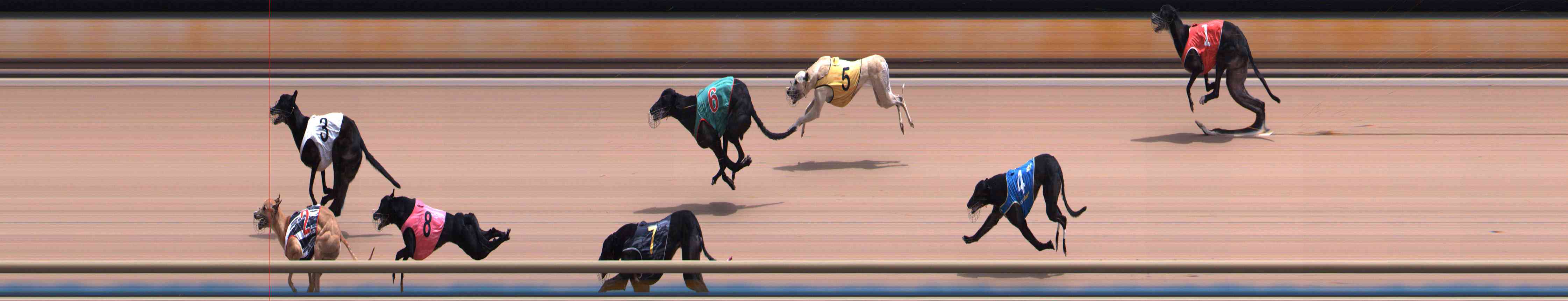 Photo finish for Healesville Race 9