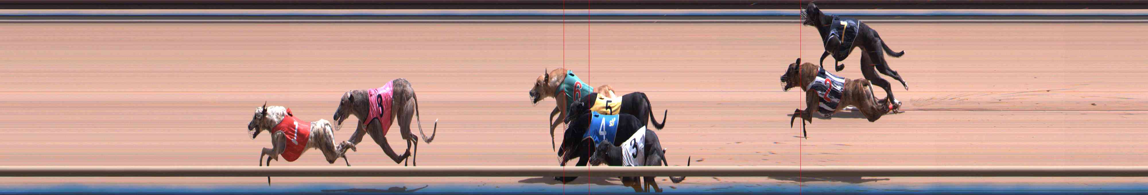 Photo finish for Healesville Race 10