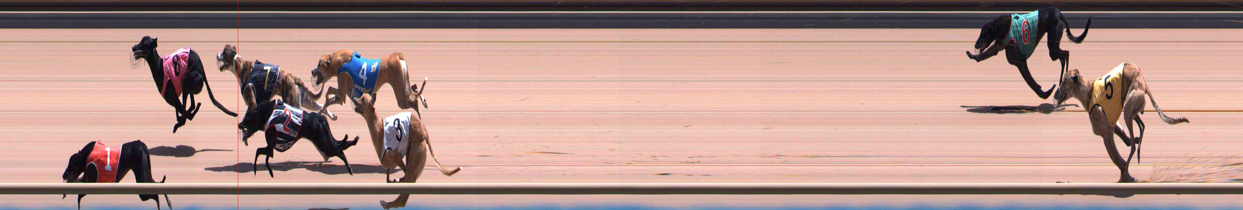 Photo finish for Healesville Race 11