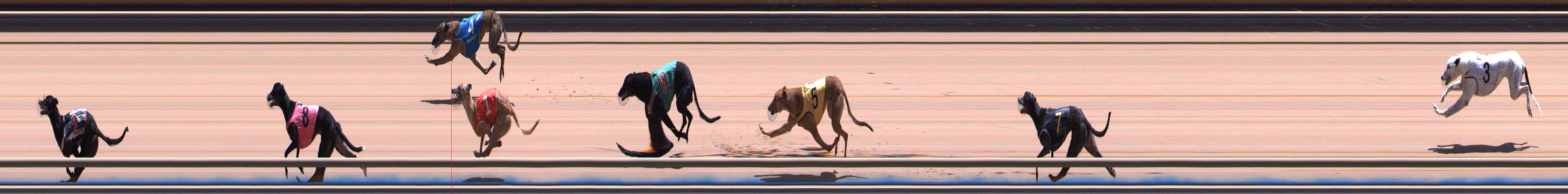 Photo finish for Healesville Race 12