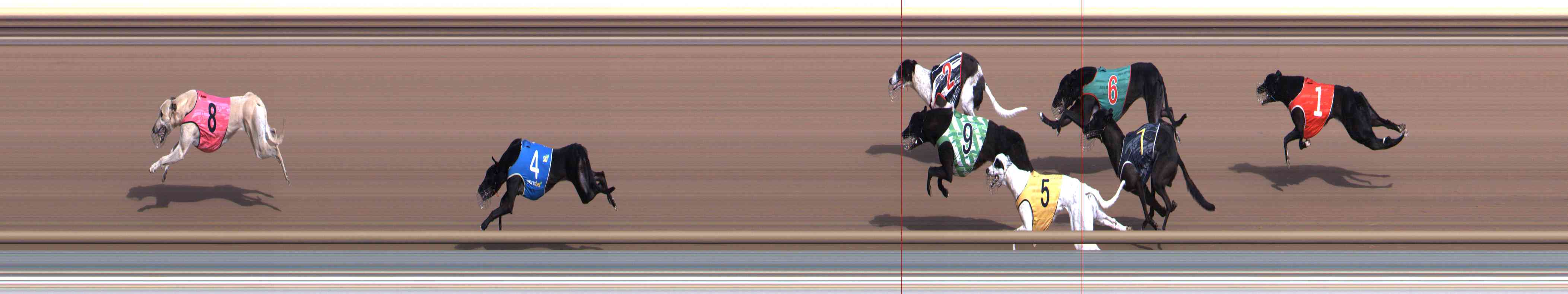 Photo finish for Healesville Race 1