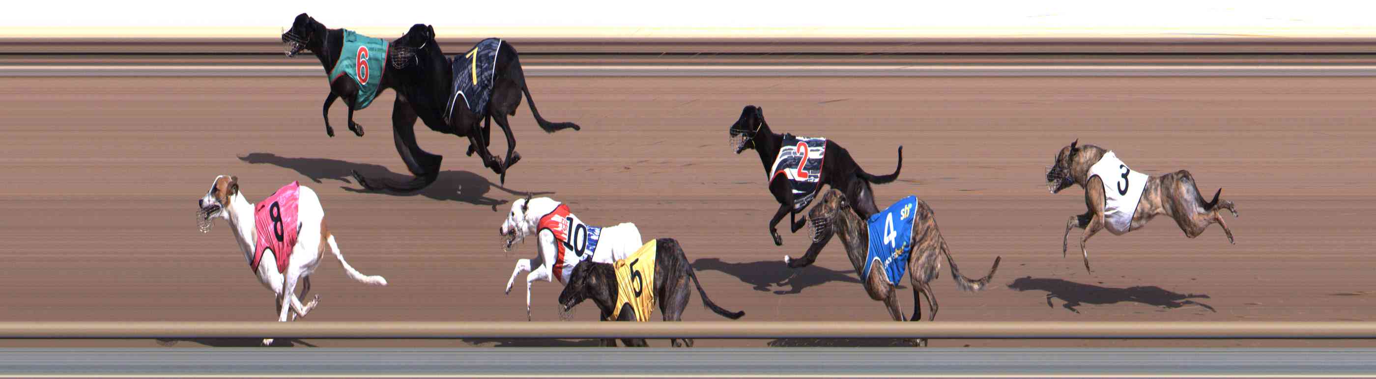 Photo finish for Healesville Race 2