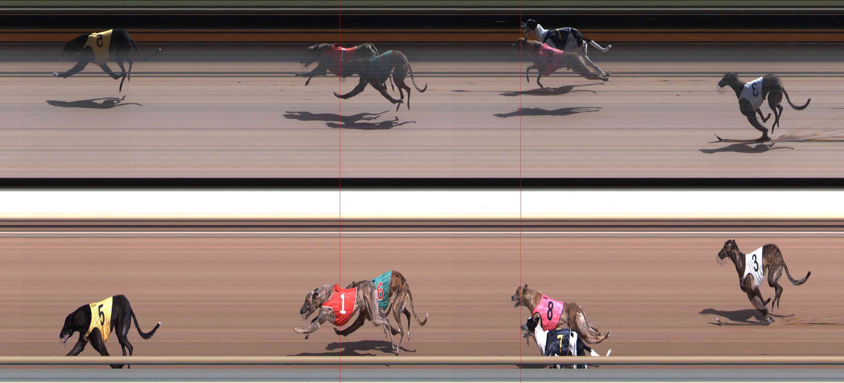 Photo finish for Healesville Race 3