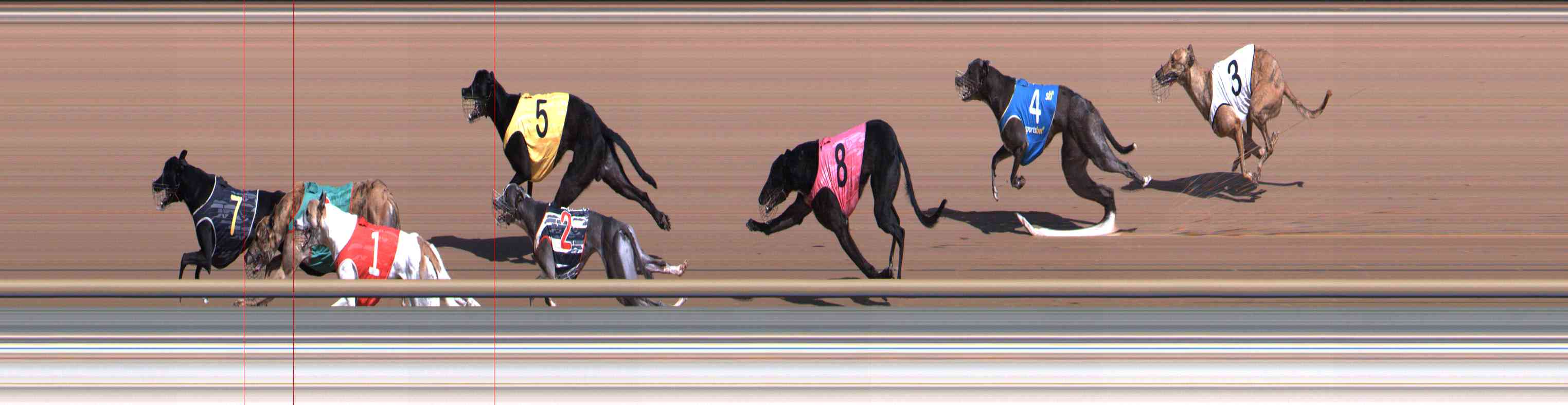 Photo finish for Healesville Race 4