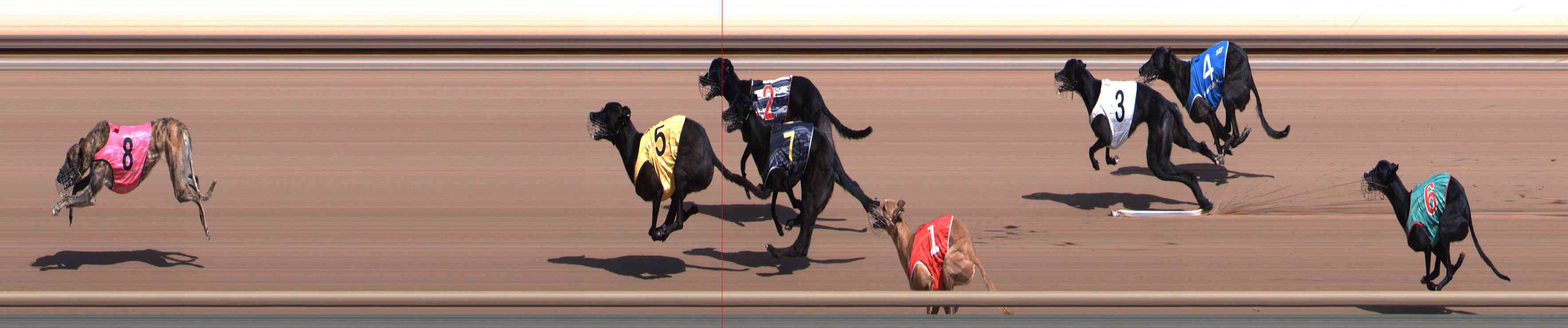 Photo finish for Healesville Race 5