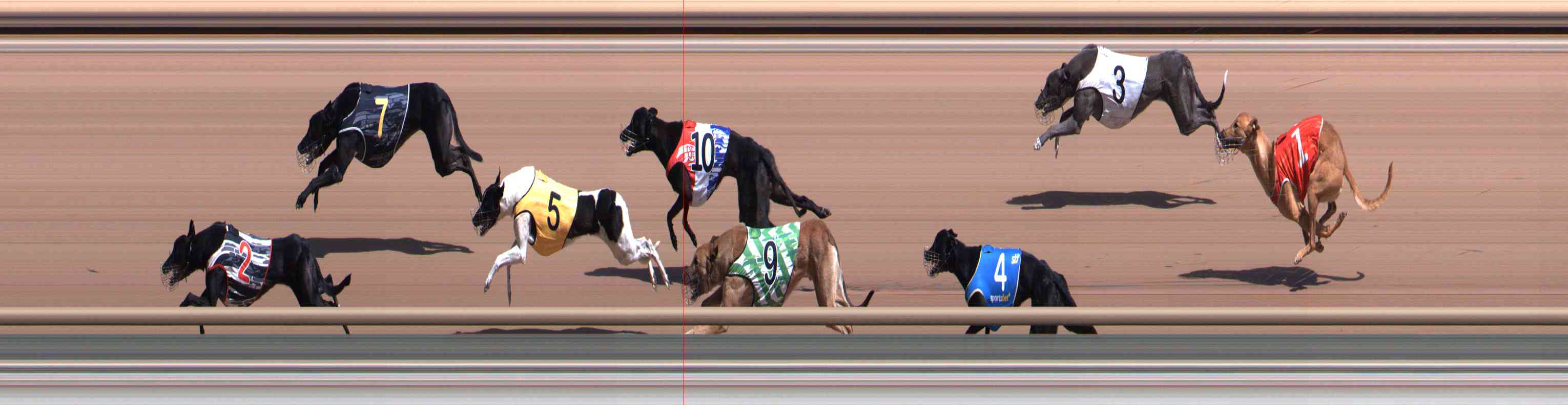 Photo finish for Healesville Race 6