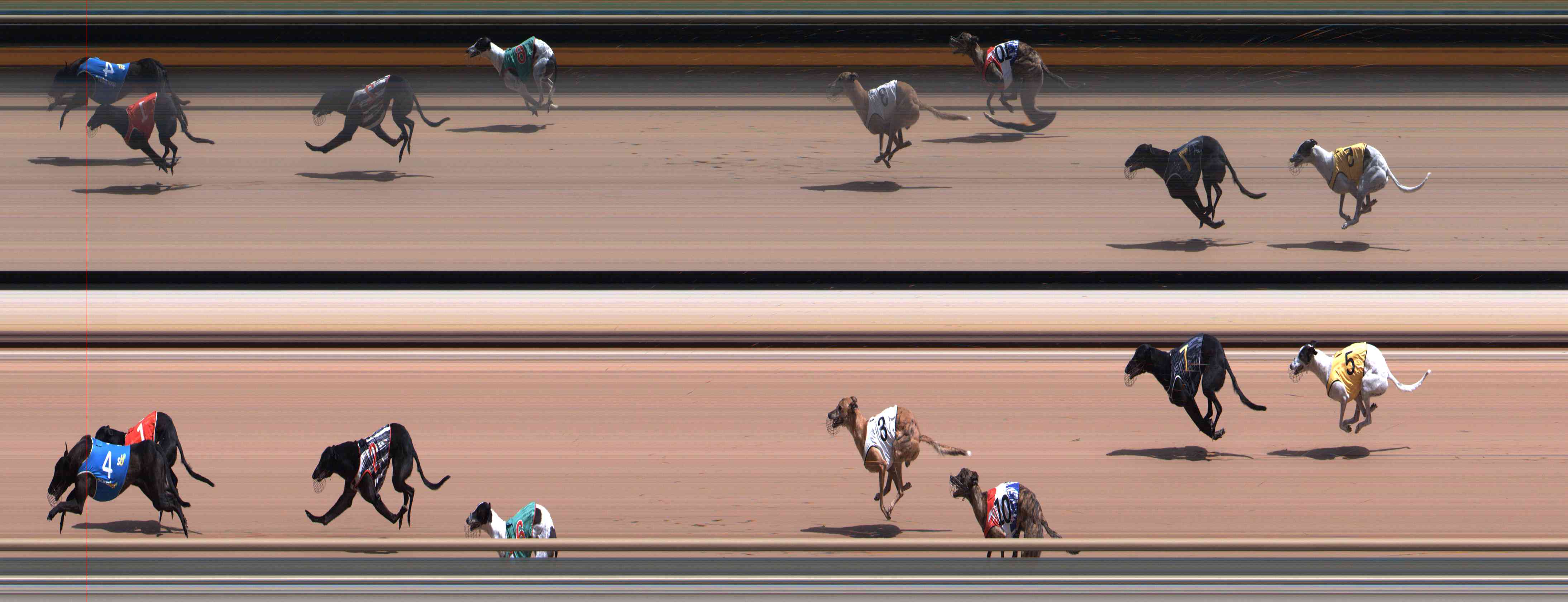Photo finish for Healesville Race 8