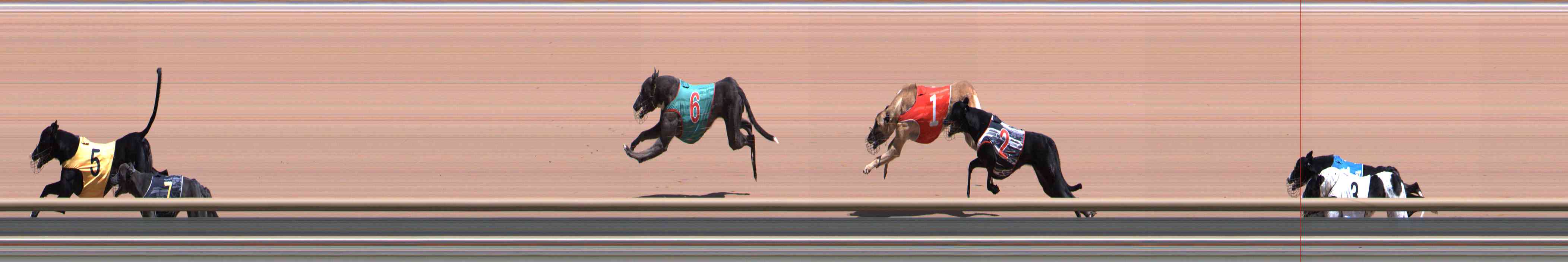 Photo finish for Healesville Race 9