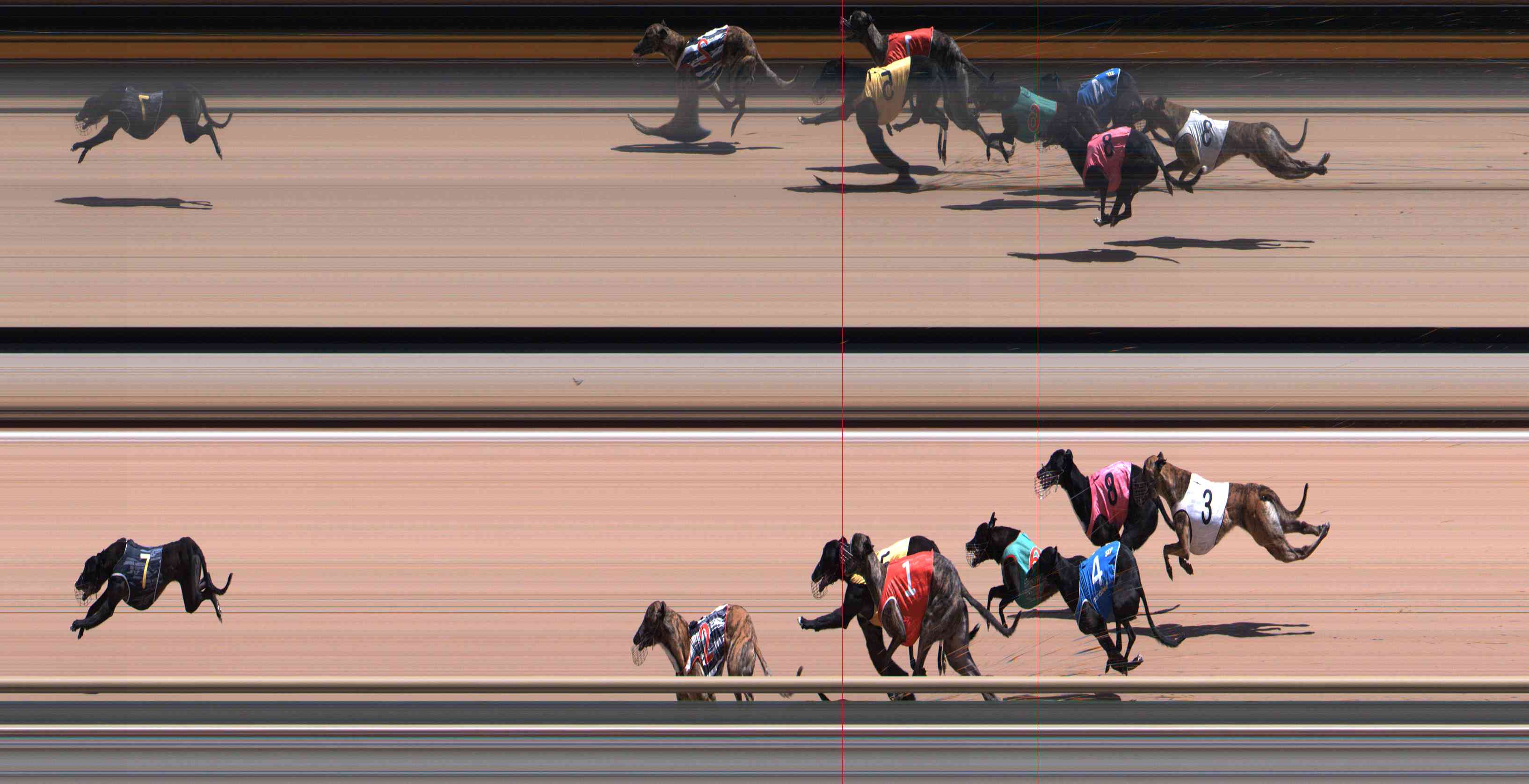 Photo finish for Healesville Race 10