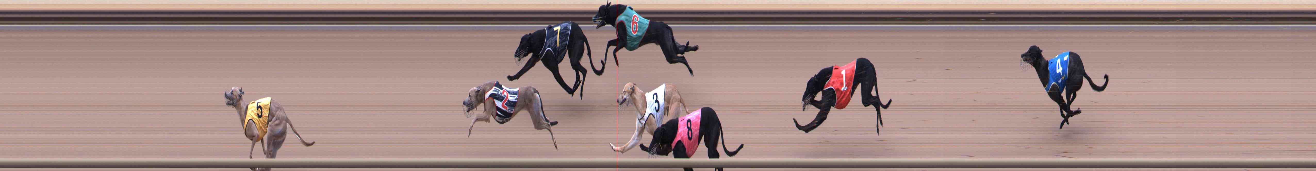 Photo finish for Healesville Race 2