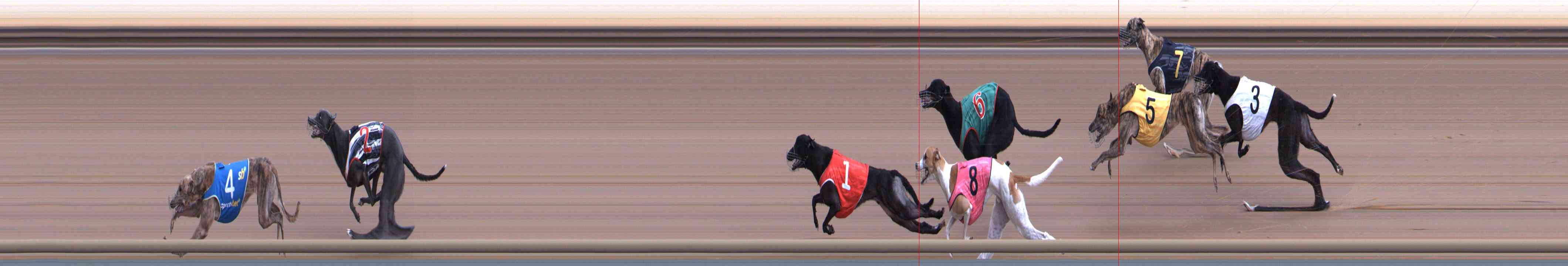Photo finish for Healesville Race 3