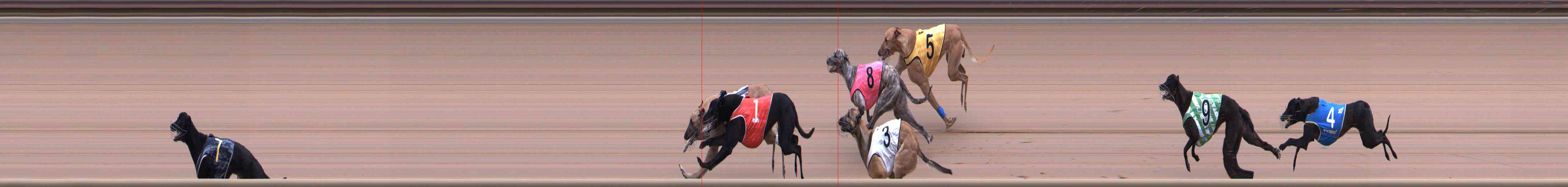 Photo finish for Healesville Race 4