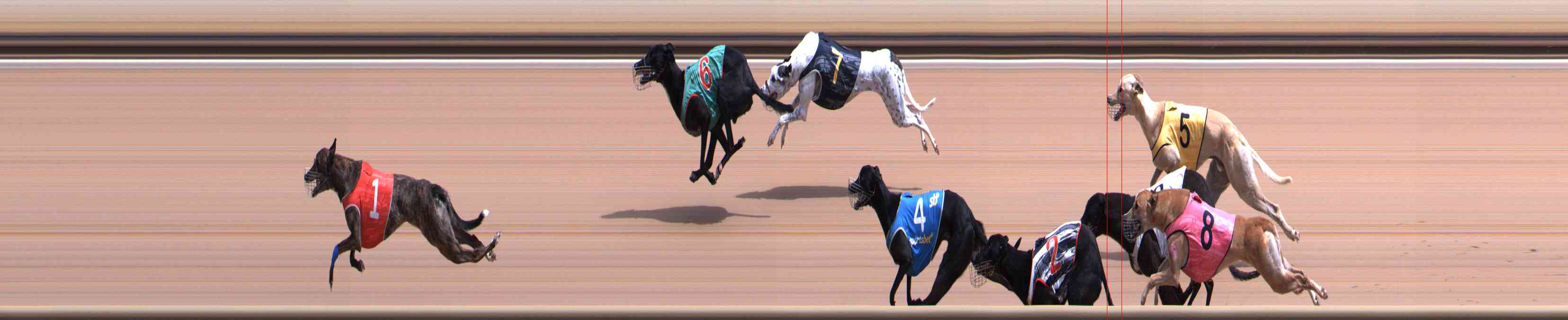 Photo finish for Healesville Race 5