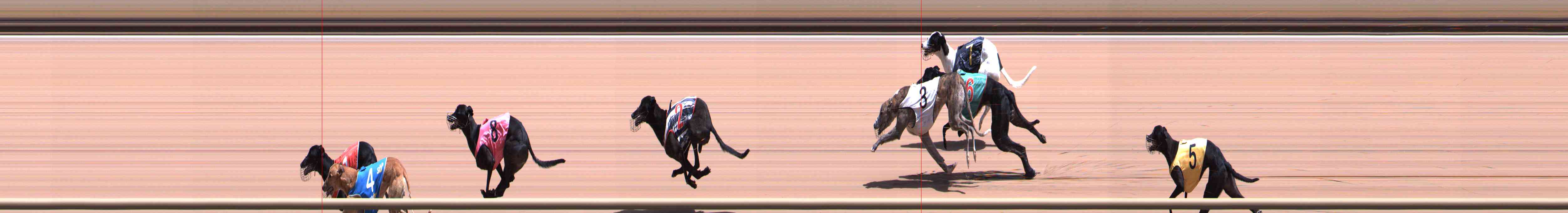 Photo finish for Healesville Race 6