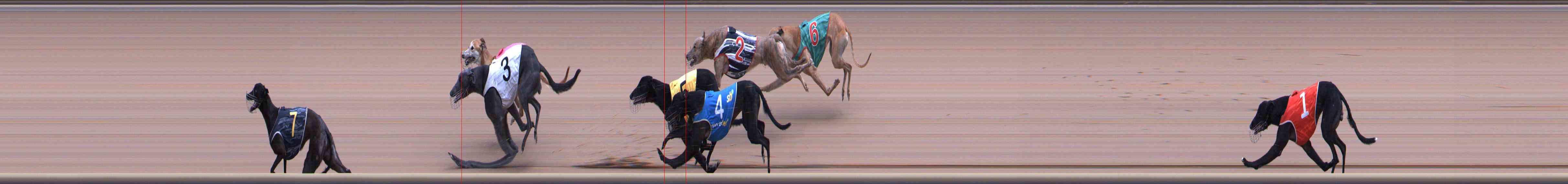 Photo finish for Healesville Race 7