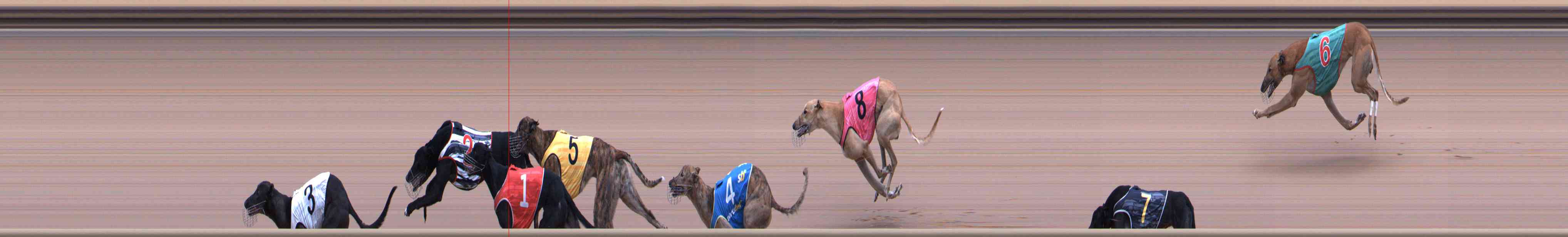 Photo finish for Healesville Race 8
