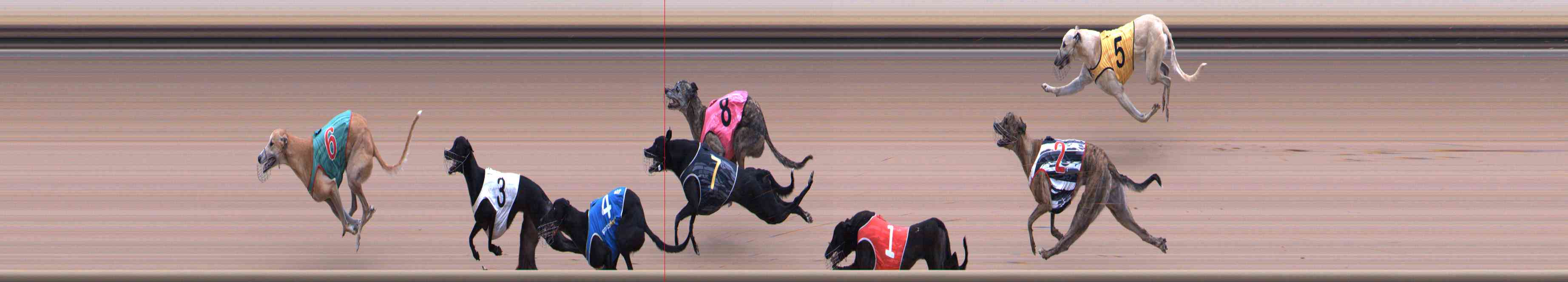Photo finish for Healesville Race 10