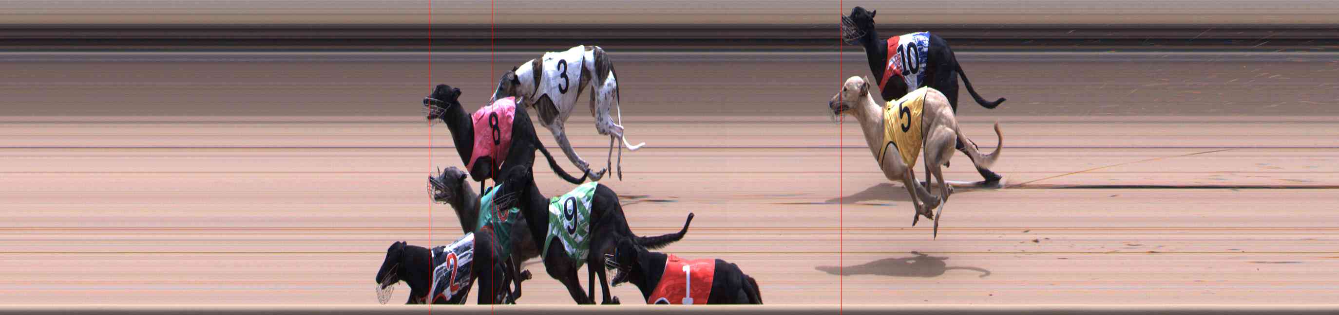Photo finish for Healesville Race 12
