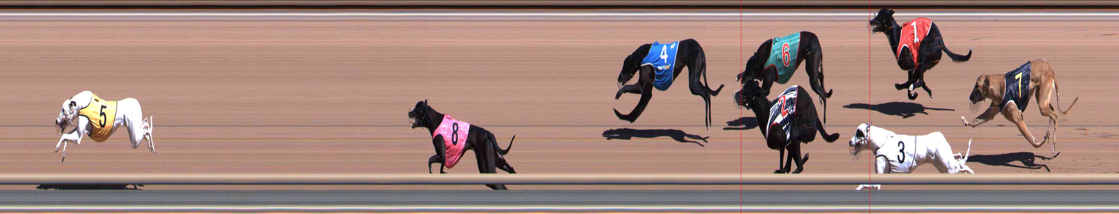 Photo finish for Healesville Race 1