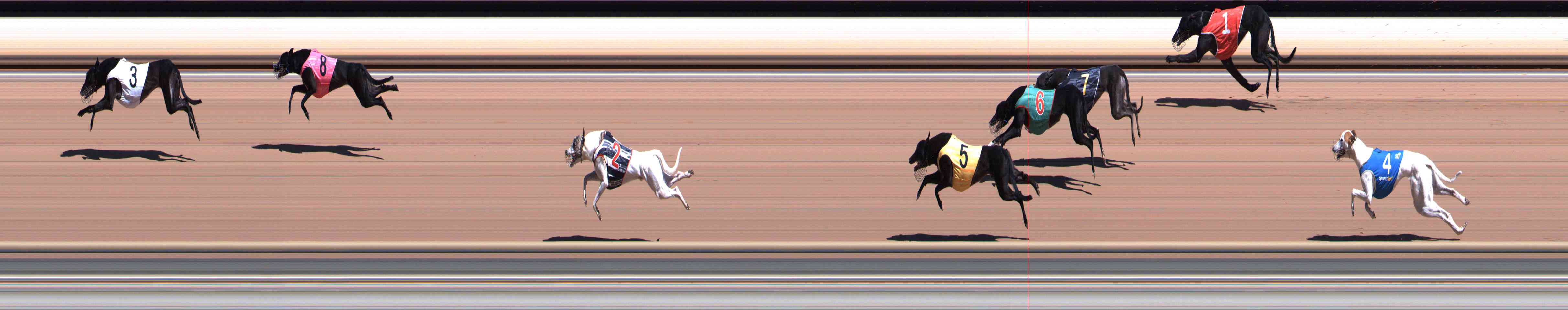 Photo finish for Healesville Race 2