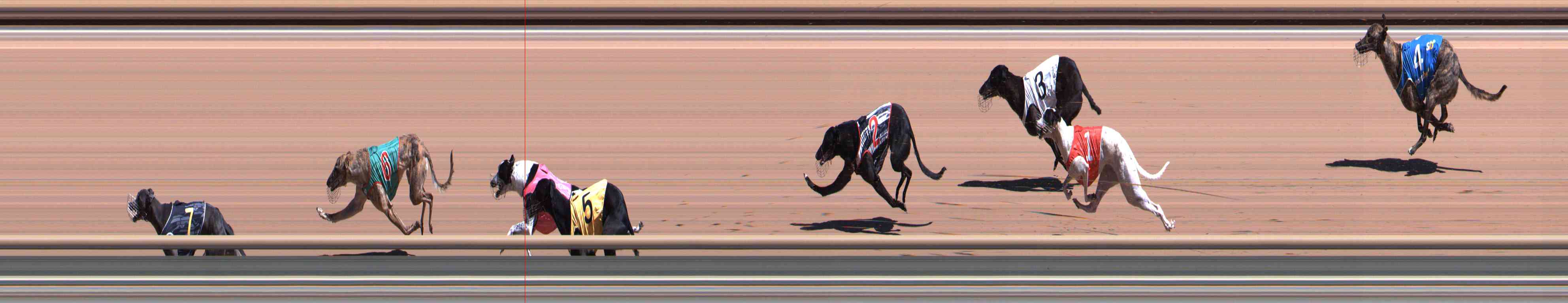 Photo finish for Healesville Race 3