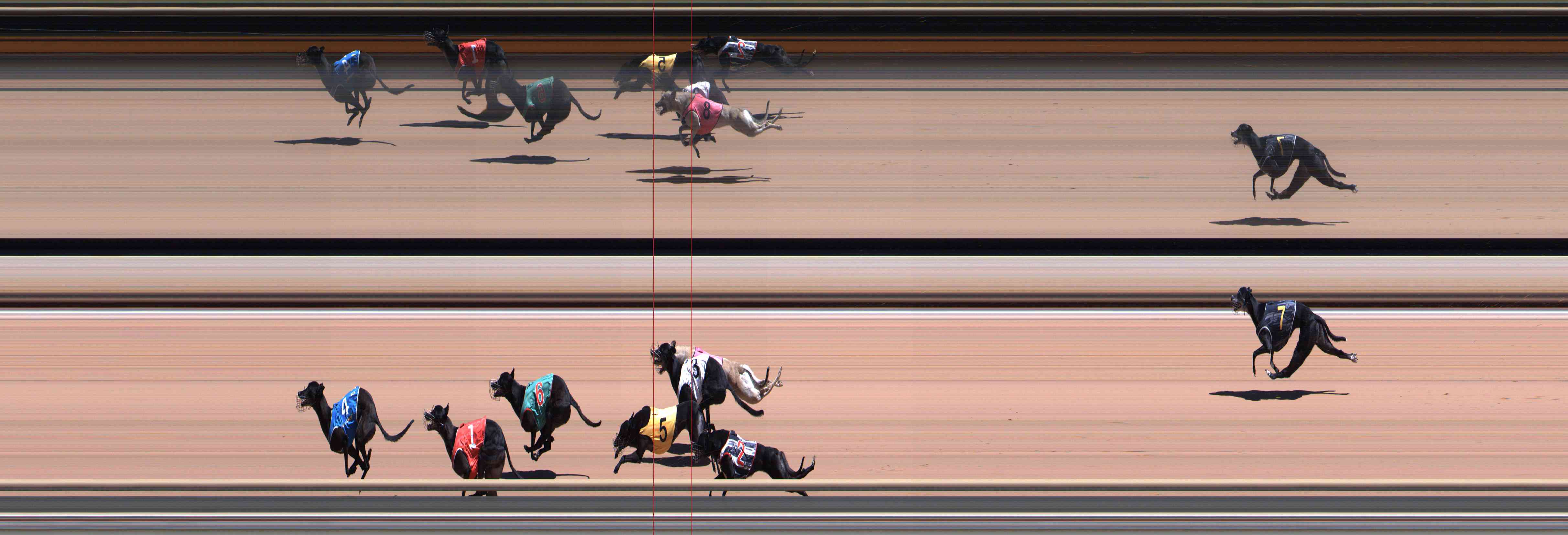 Photo finish for Healesville Race 4