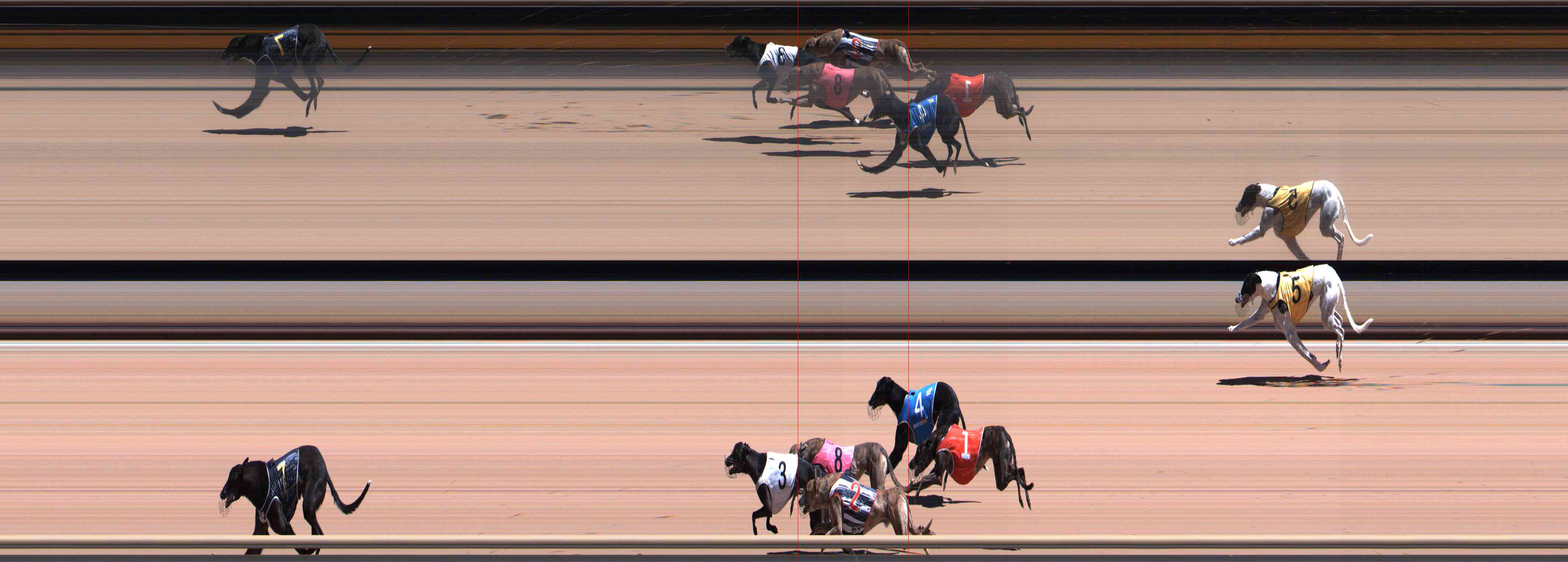Photo finish for Healesville Race 5