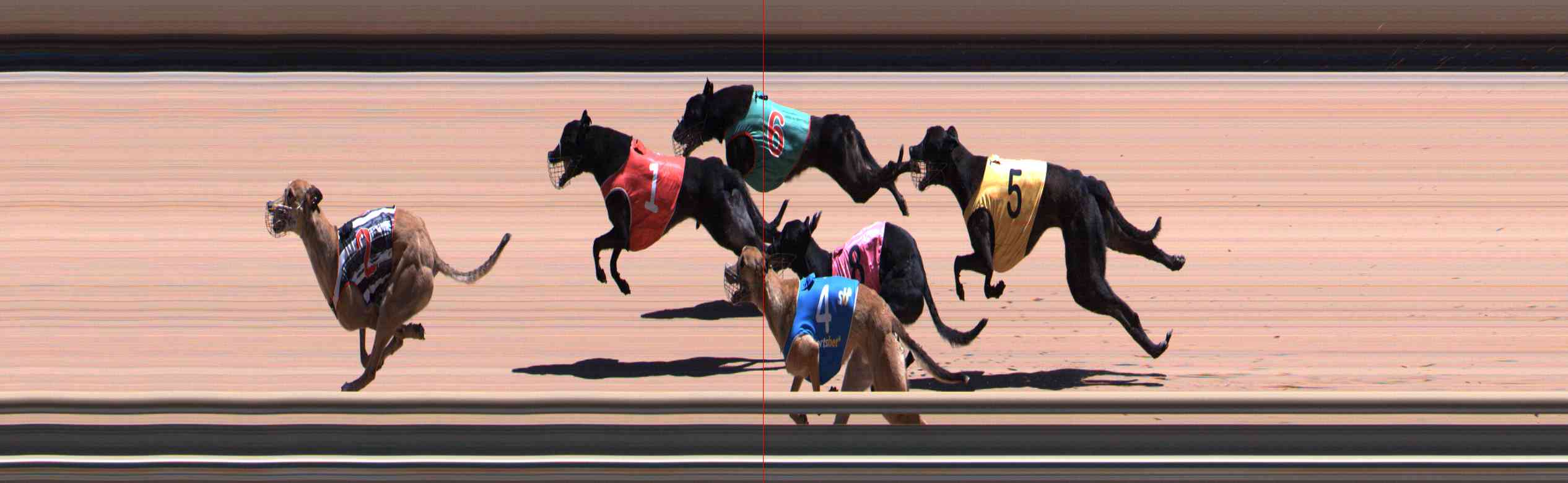 Photo finish for Healesville Race 6