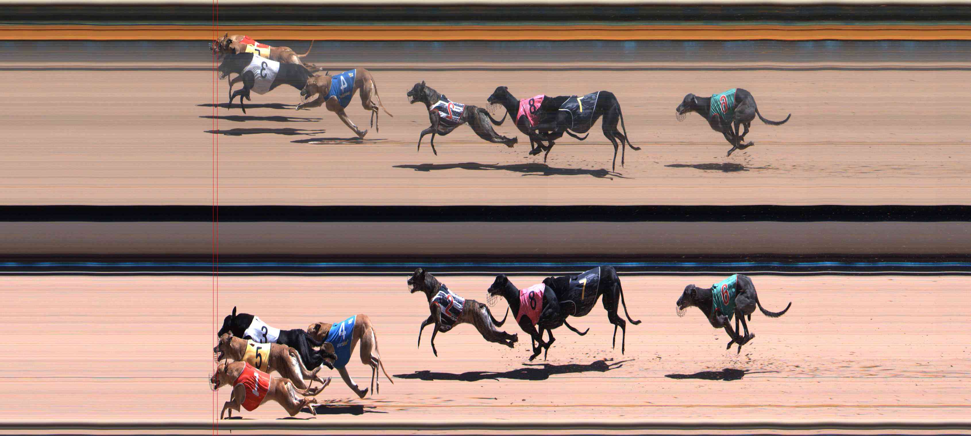 Photo finish for Healesville Race 7