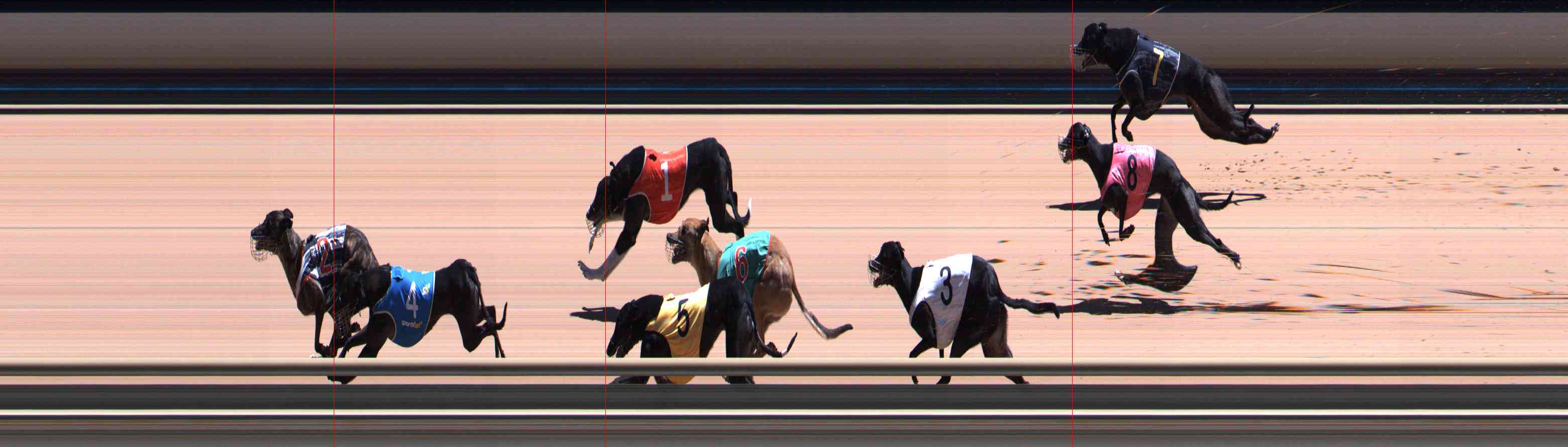 Photo finish for Healesville Race 8