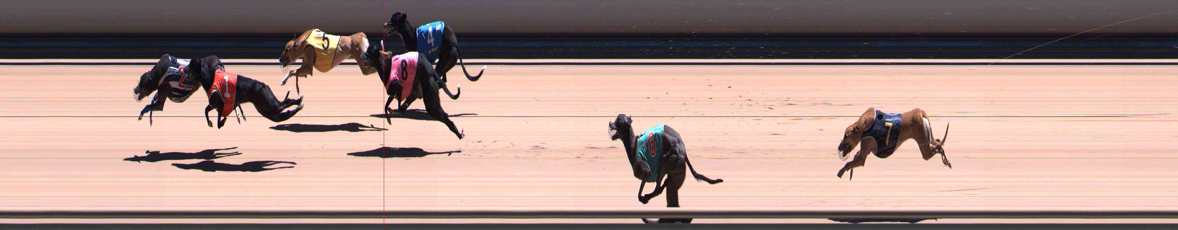 Photo finish for Healesville Race 9