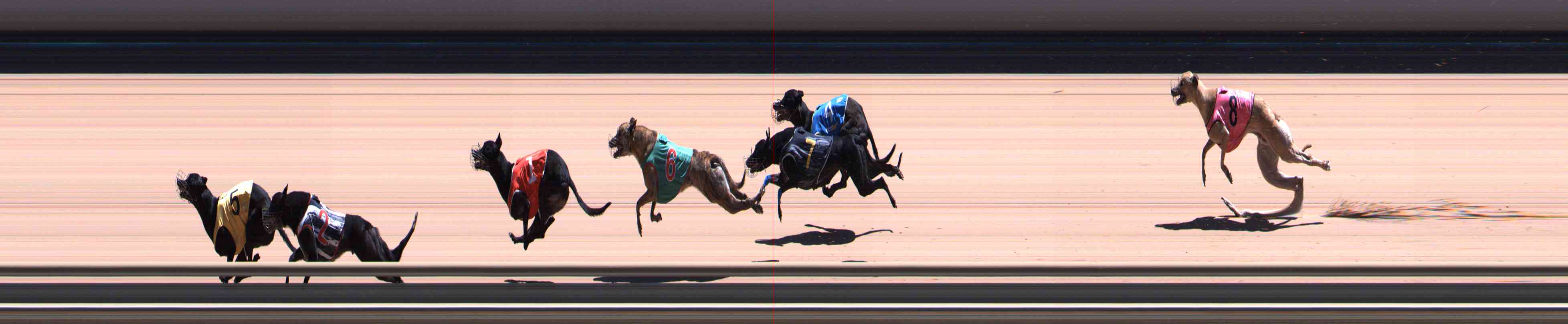 Photo finish for Healesville Race 10