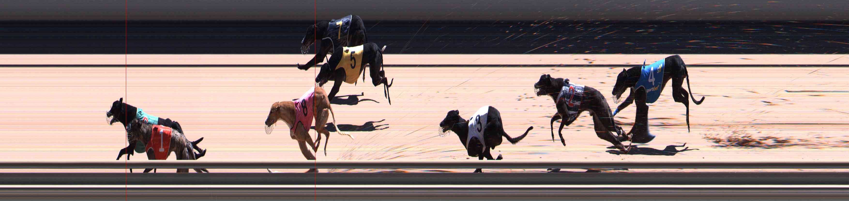 Photo finish for Healesville Race 11