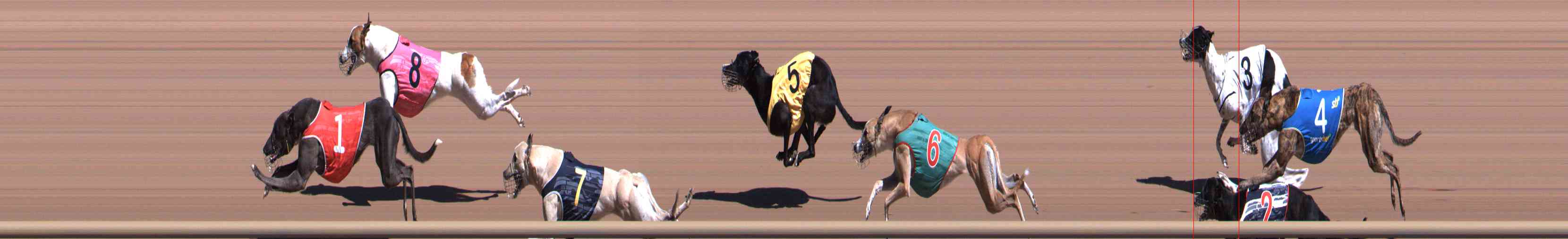 Photo finish for Healesville Race 2