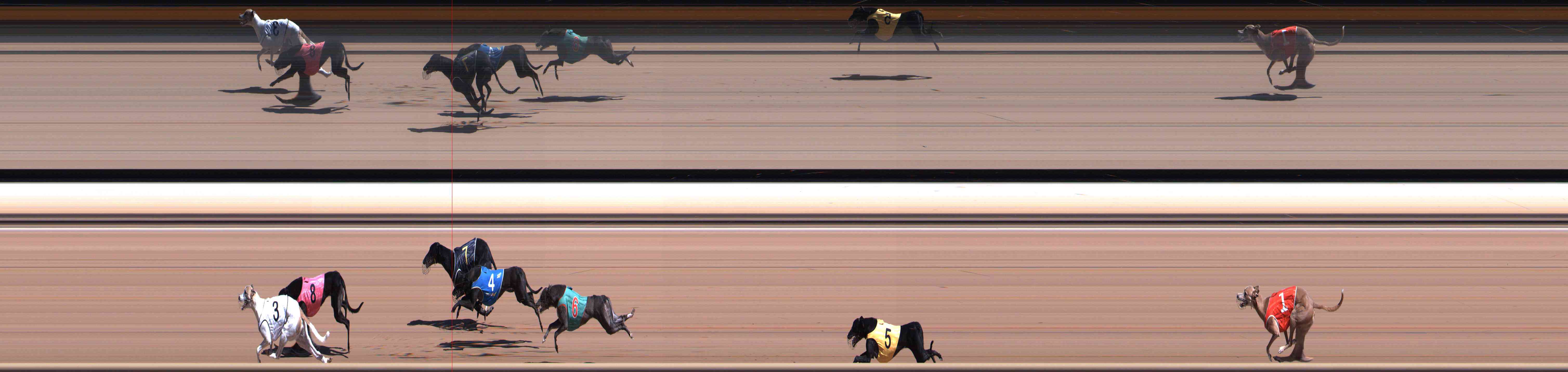 Photo finish for Healesville Race 3