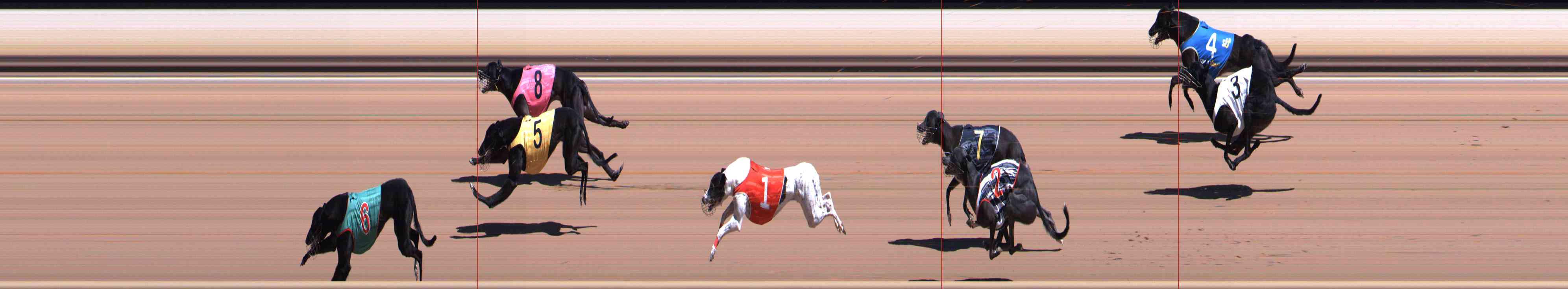 Photo finish for Healesville Race 4
